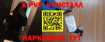 соль ск Кингисепп