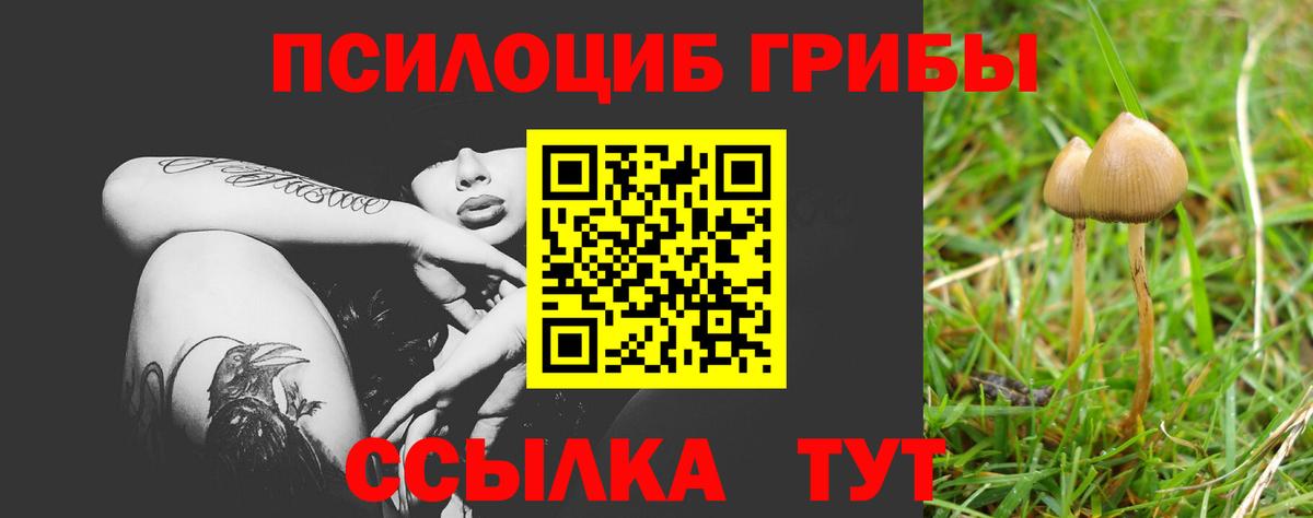 Касимов  Галлюциногенные грибы GOLDEN TEACHER  Вход с VPN  Псилоцибиновые грибы ЛСД 